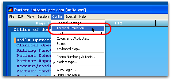 anita terminal emulator