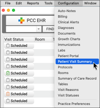 summary visit to the doctor