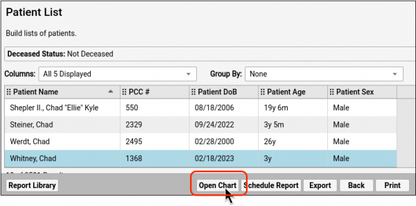 The image displays a highlighted row containing a patient name. The mouse is over the "Open Chart" button.