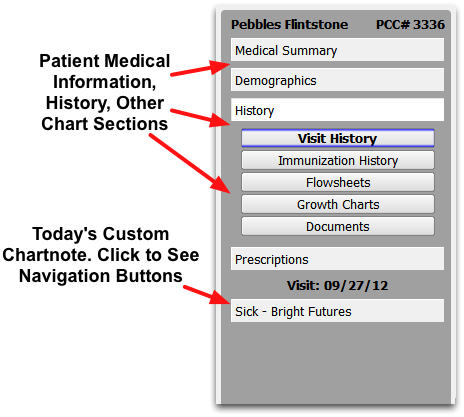 Pcc Charting System