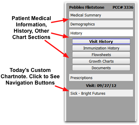 Patient Chart Contents