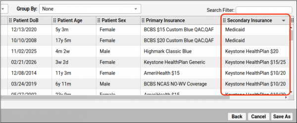 The patient list report output displays the secondary insurance column