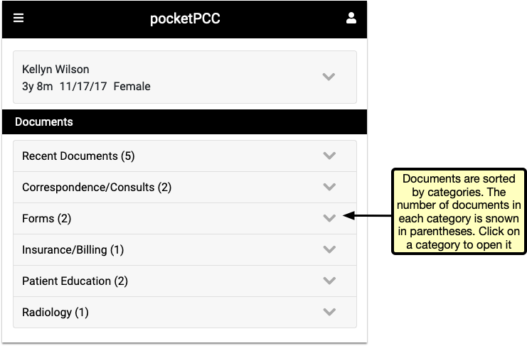 Patient Chart Contents